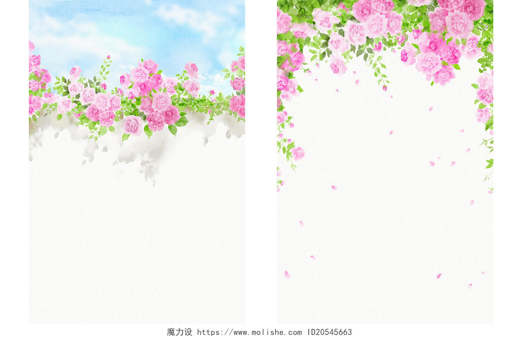 水彩蔷薇水彩花卉边框水彩花卉背景蔷薇花背景蔷薇边框